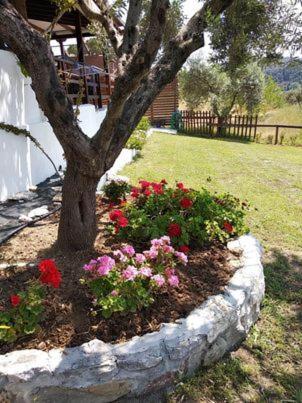 Ases Villa Lagonisi Halkidiki Ормос-Панайяс Экстерьер фото